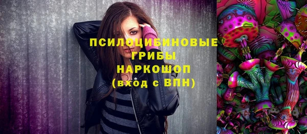 мдпв Ачинск