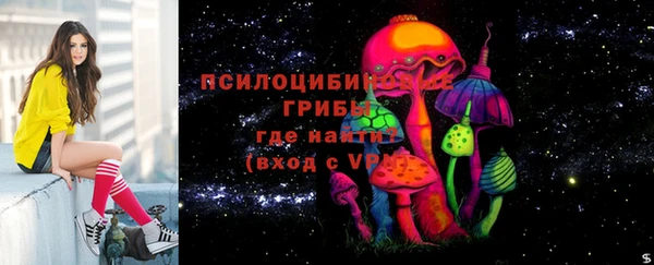 героин Алексин