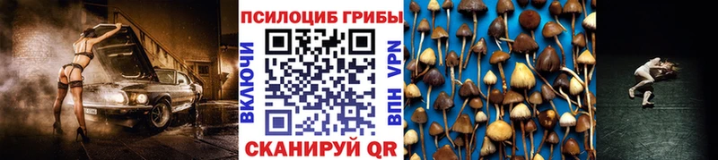 Псилоцибиновые грибы Magic Shrooms  где найти наркотики  Анадырь 